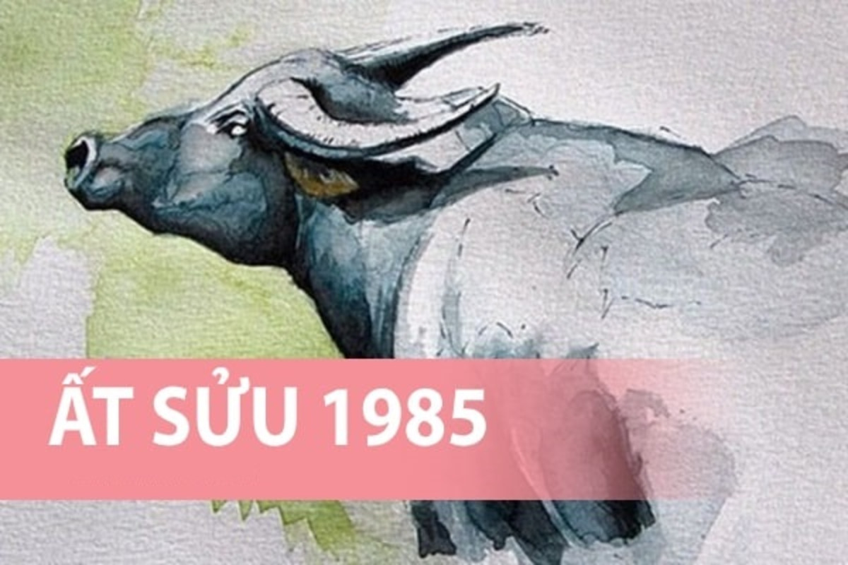 nguoi sinh nam at suu 1985 thuoc menh hai trung kim Người sinh năm Ất Sửu 1985 thuộc mệnh Hải Trung Kim
