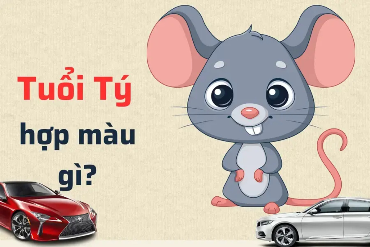 Tuổi Giáp Tý hợp xe màu gì?